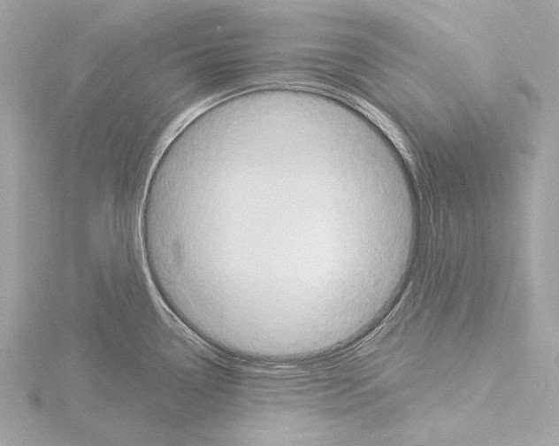 X0000115531338200912181519