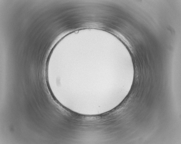 X0000115531339200912181519