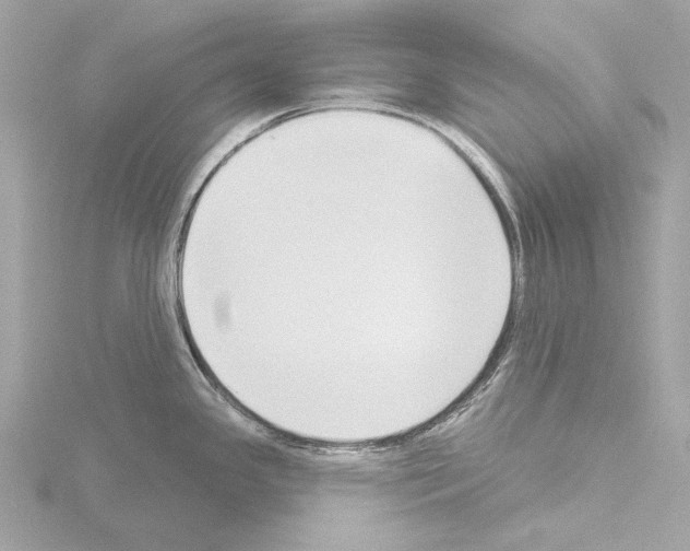 X0000115531341200912181519