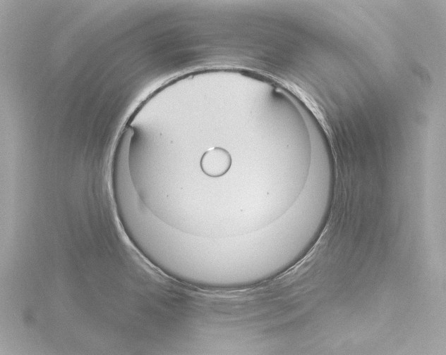 X0000115531342200912181519