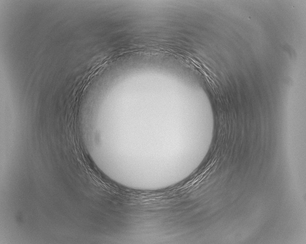 X0000115531345200912181518