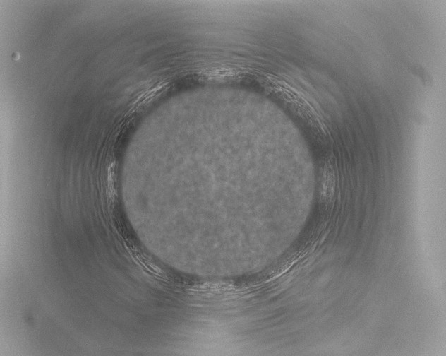 X0000115531346200912181518