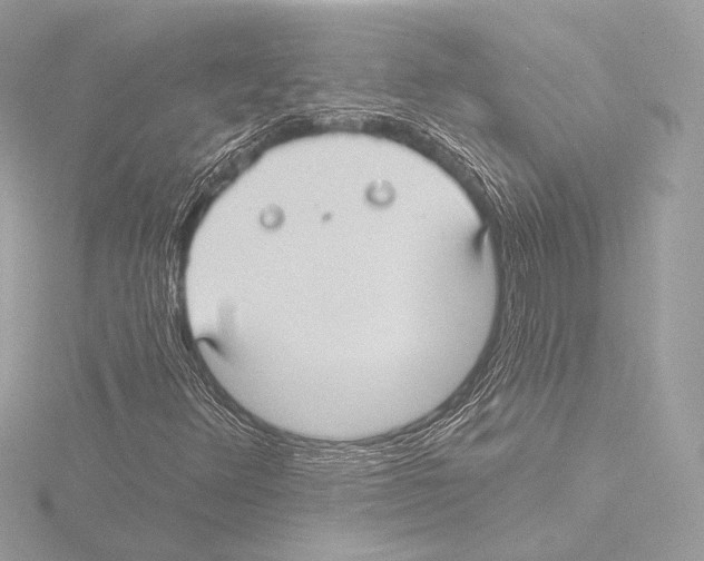 X0000115531348200912181518