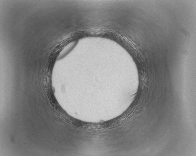 X0000115531349200912181518