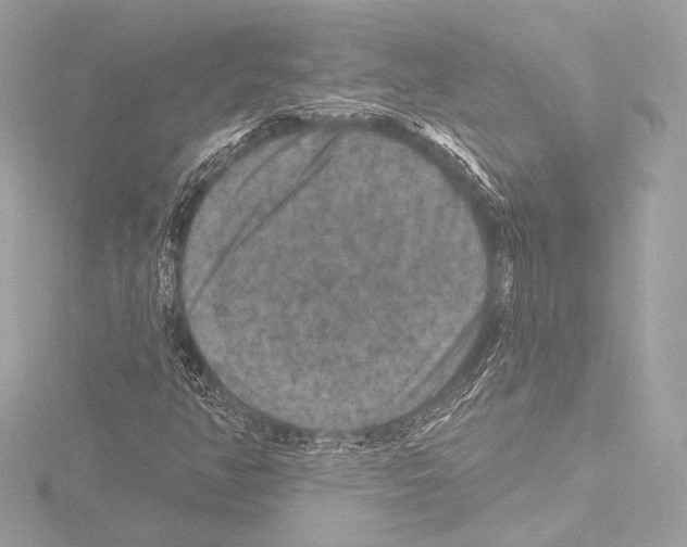 X0000115531350200912181518