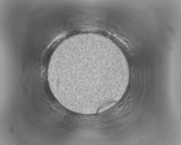 X0000115531351200912181518