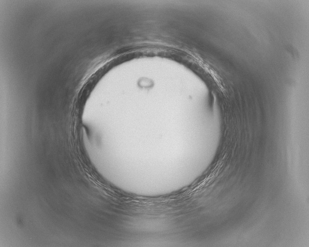 X0000115531352200912181518