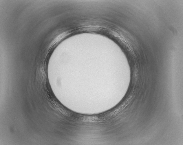 X0000115531354200912181518