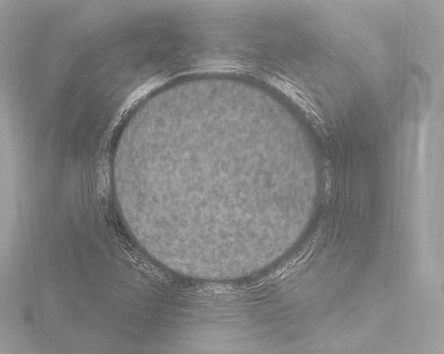 X0000115531358200912181518