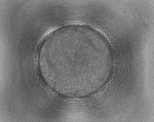 X0000115531359200912181518