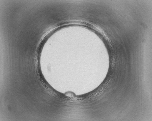 X0000115531360200912181518