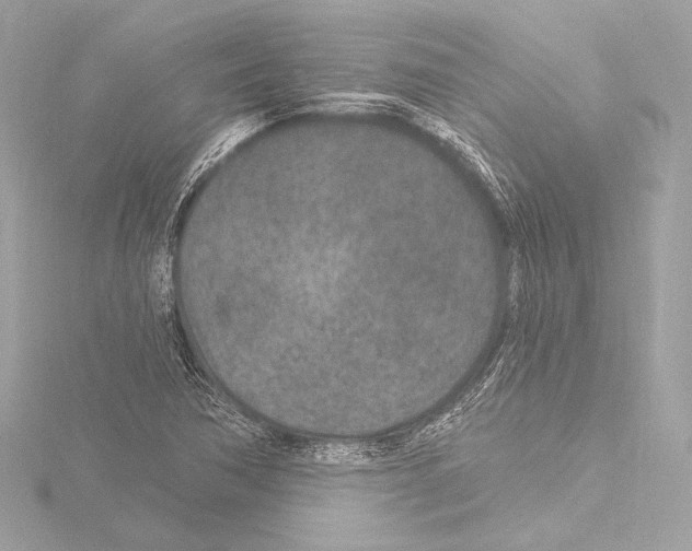 X0000115531362200912181518