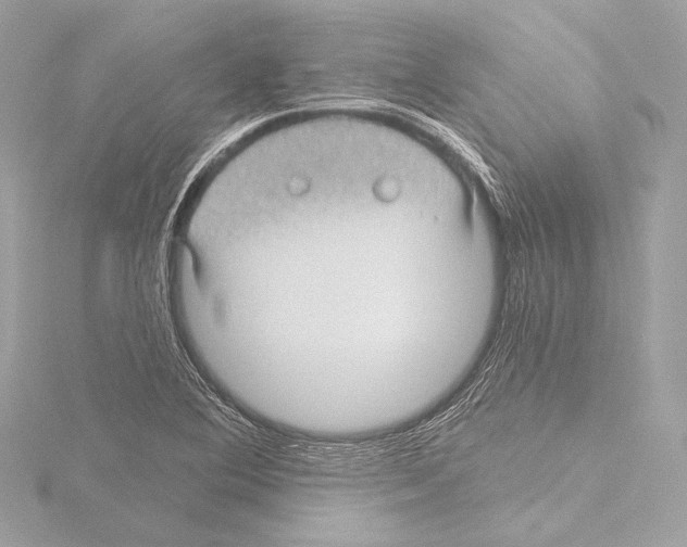 X0000115531364200912181518