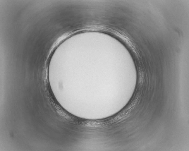 X0000115531366200912181518