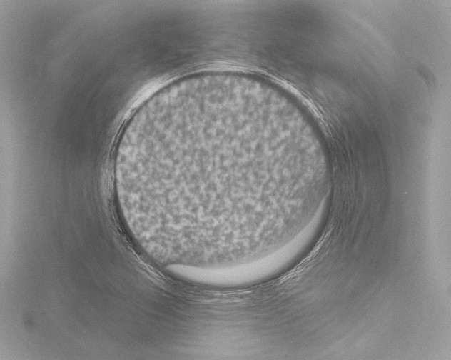 X0000115531367200912181518