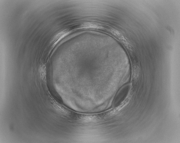 X0000115531369200912181518