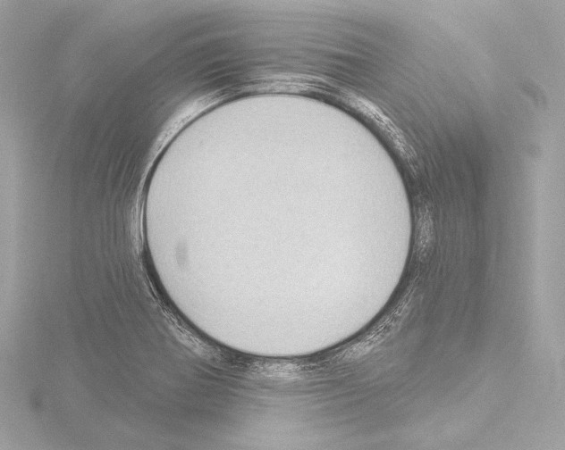 X0000115531370200912181518