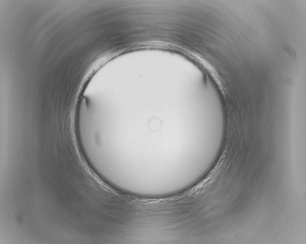 X0000115531373200912181518