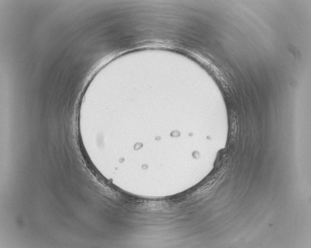 X0000115531375200912181518