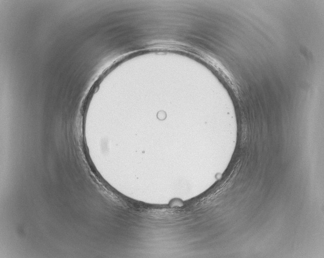 X0000115531376200912181518