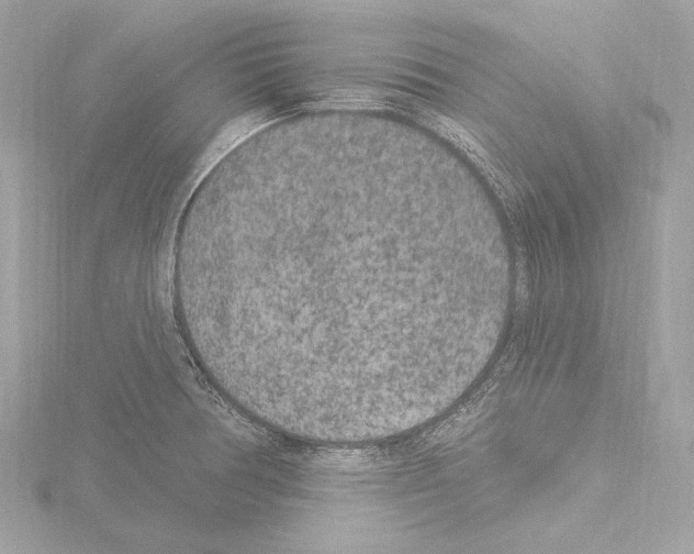 X0000115531378200912181518