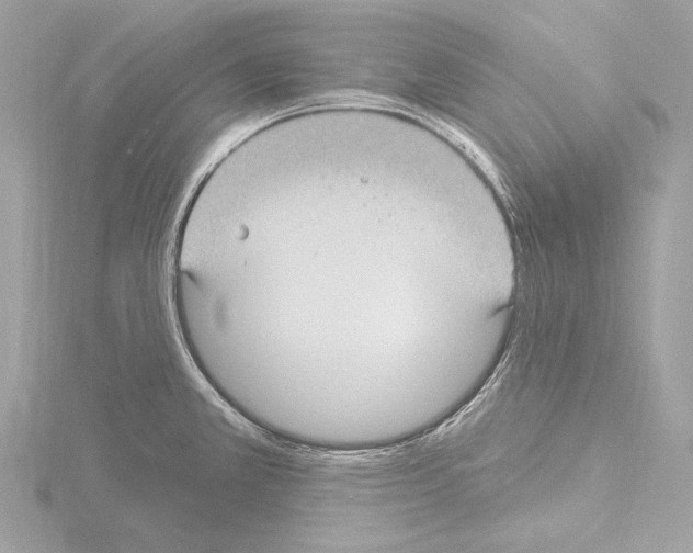 X0000115531381200912181518