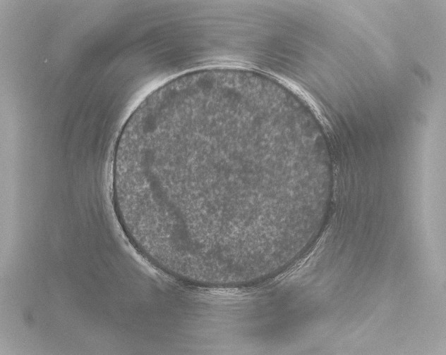 X0000115531383200912181518