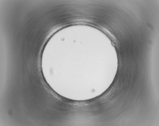 X0000115531384200912181518