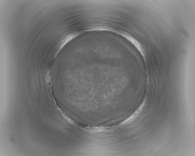 X0000115531385200912181518