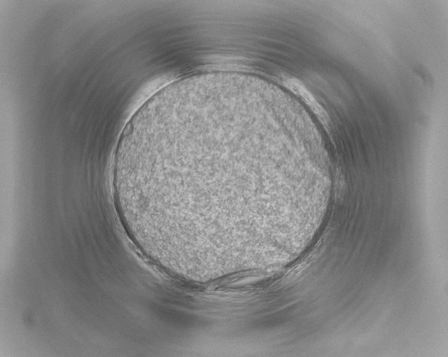 X0000115531386200912181518