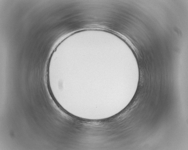 X0000115531387200912181518