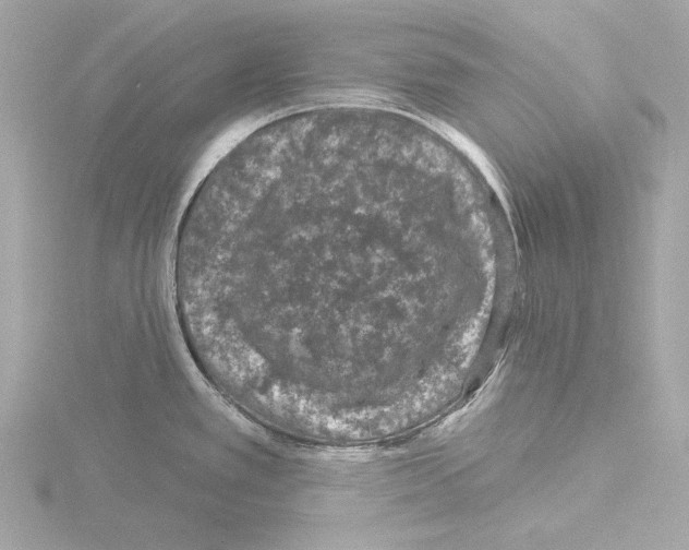 X0000115531389200912181518