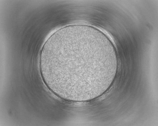 X0000115531390200912181518