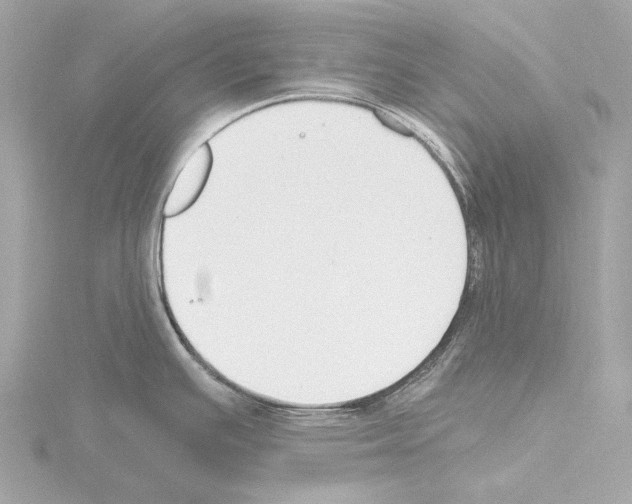 X0000115531391200912181518