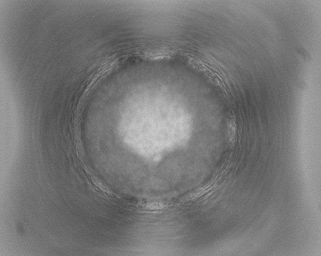 X0000115531393200912181517