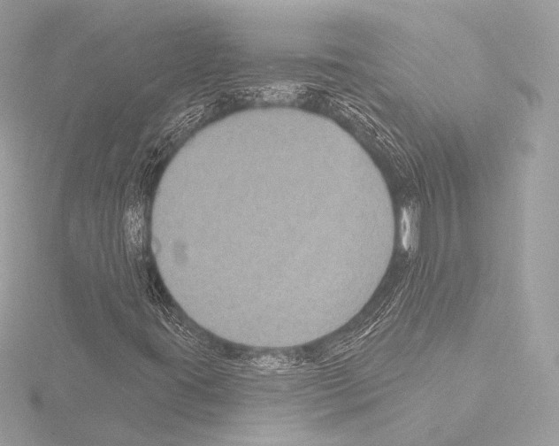 X0000115531395200912181517