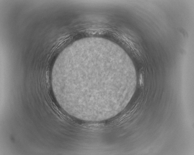 X0000115531396200912181517