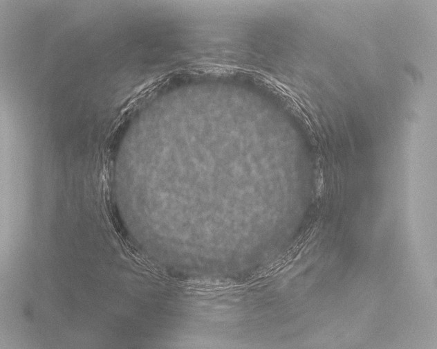 X0000115531397200912181517