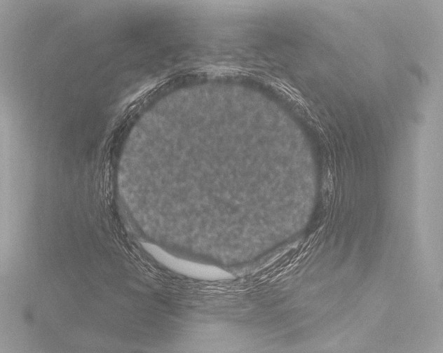 X0000115531398200912181517