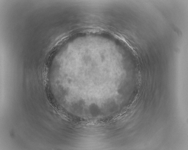 X0000115531399200912181517