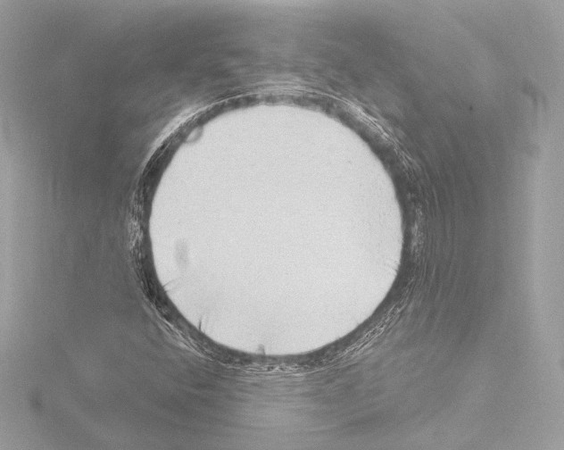 X0000115531400200912181517