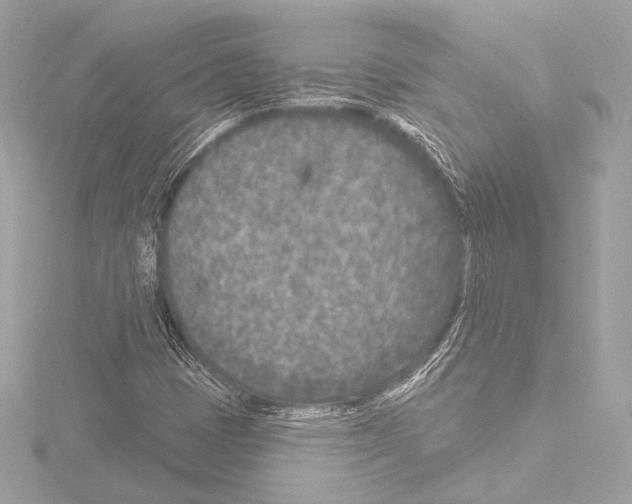 X0000115531401200912181517