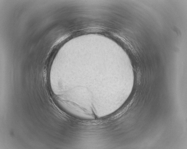 X0000115531402200912181517