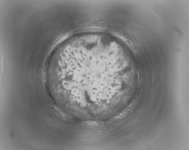 X0000115531405200912181517