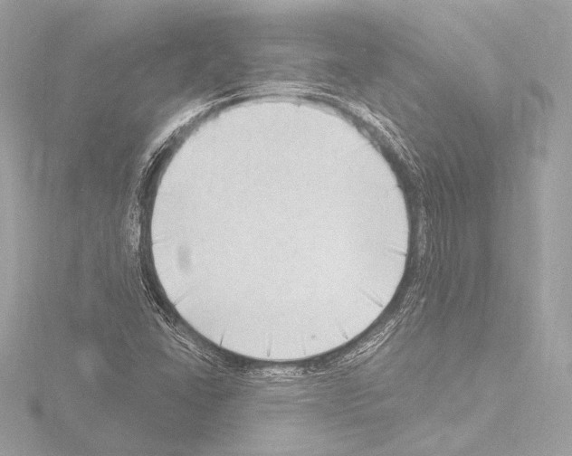 X0000115531406200912181517