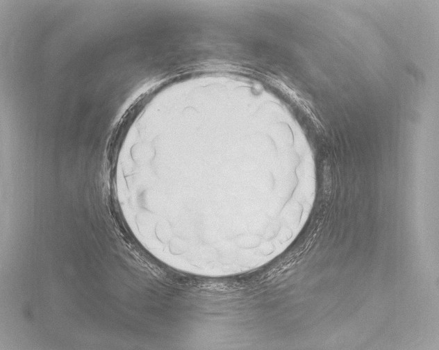 X0000115531408200912181517