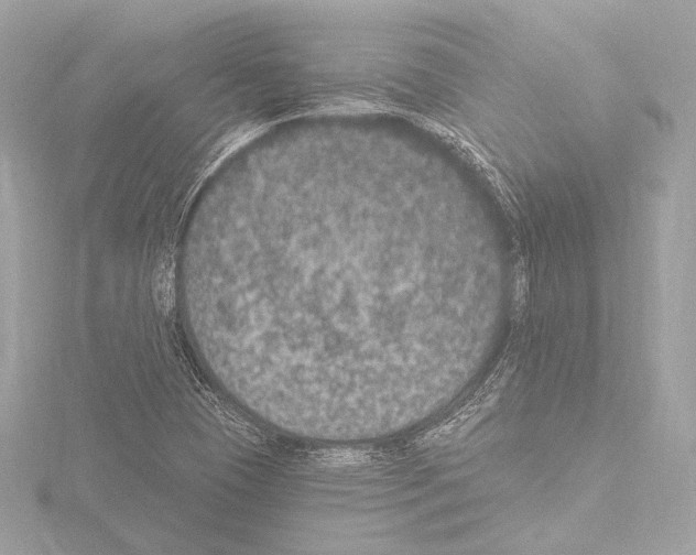 X0000115531409200912181517