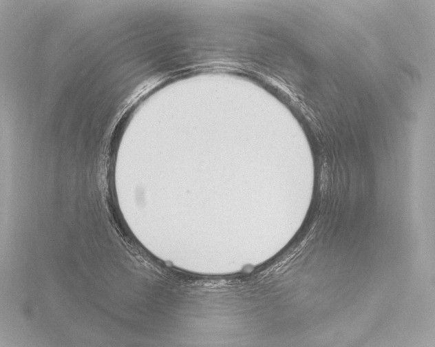 X0000115531410200912181517