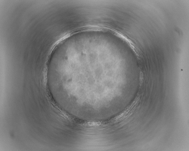 X0000115531411200912181517