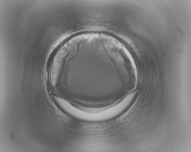 X0000115531414200912181517